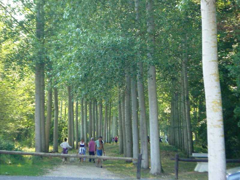 Iut de l indre site de chateauroux