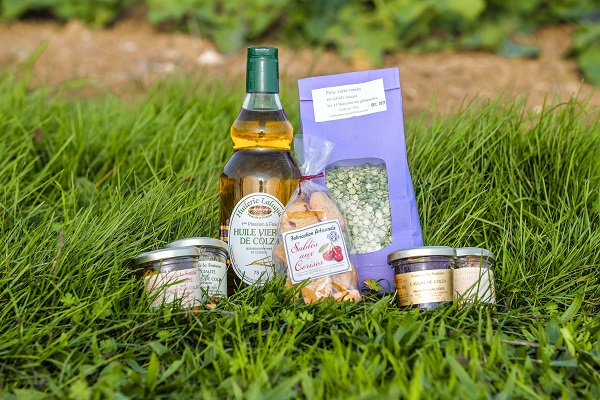 Business plan huilerie 05 picture