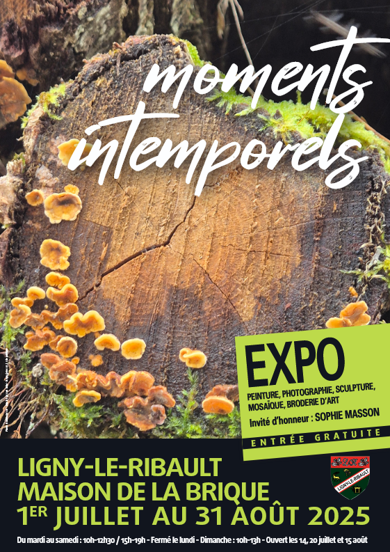 Exposition • Moments intemporels