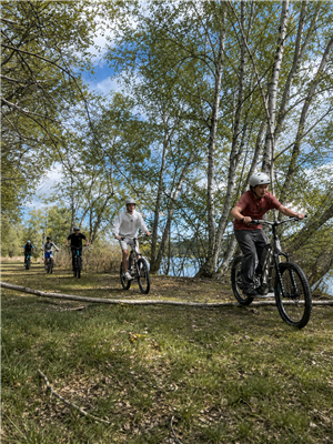 2T Aventure Trottinette électrique tout terrain 