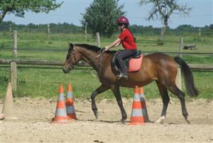 Poney-club Arc-en-ciel