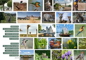 La Maison du Pont Canal - Location et réparation de vélos