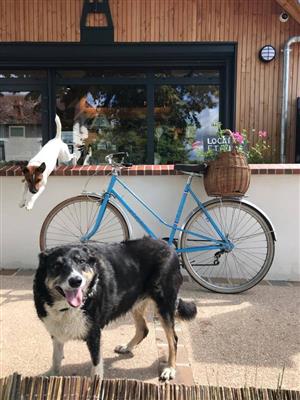La Maison du Pont Canal - Location et réparation de vélos