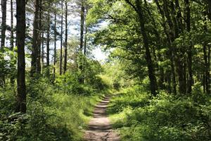 L'énergie magique du Parc de Limère - Parcours à pied