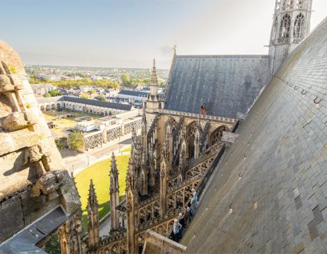 Orléans de haut en bas Du 12 au 29 oct 2024