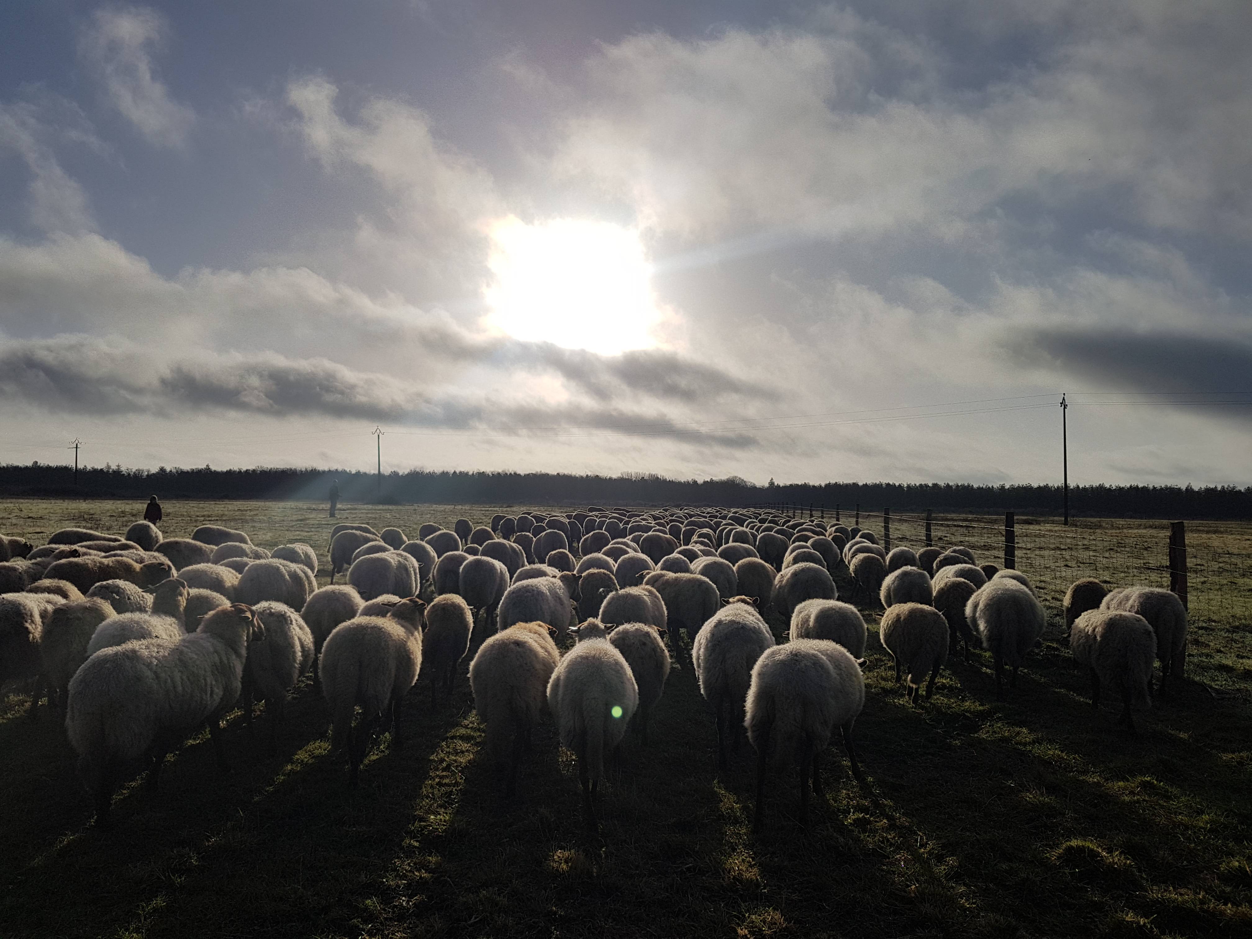 Ferme du Poirier, ISDES | Tourisme Loiret