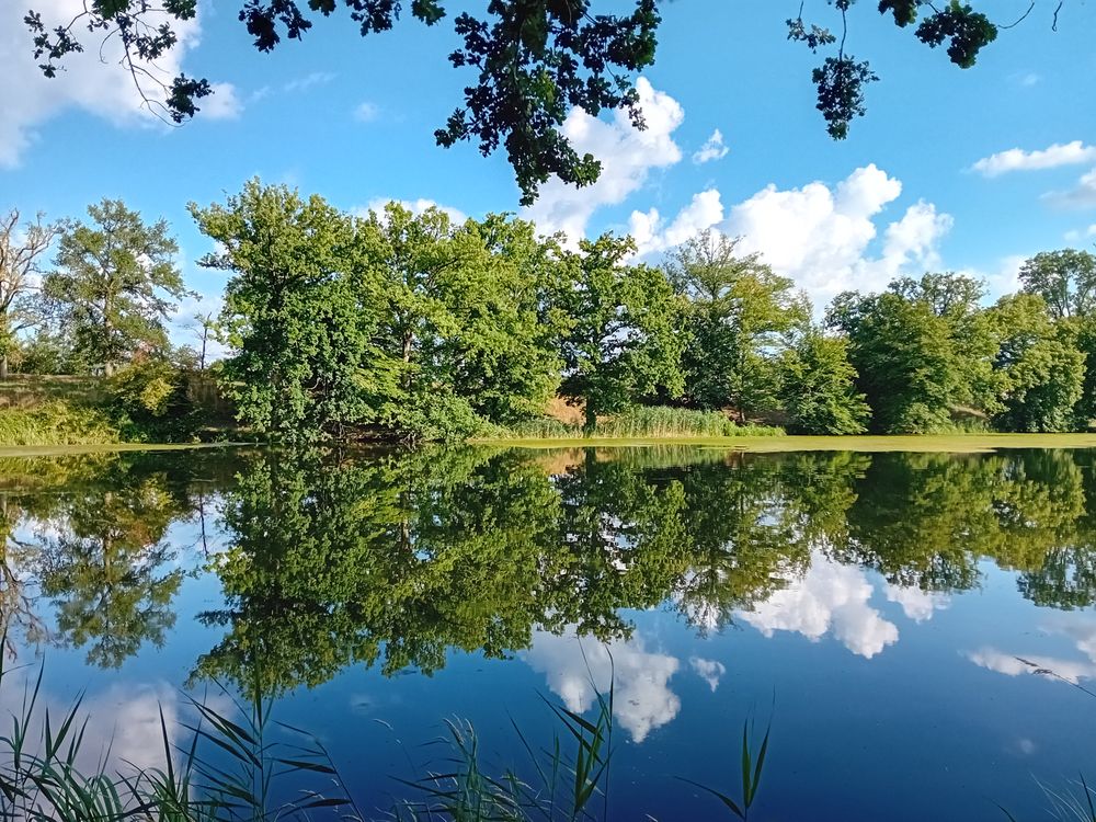 A la rencontre des oiseaux migrateurs - Crédit photo : ADRT du Loiret