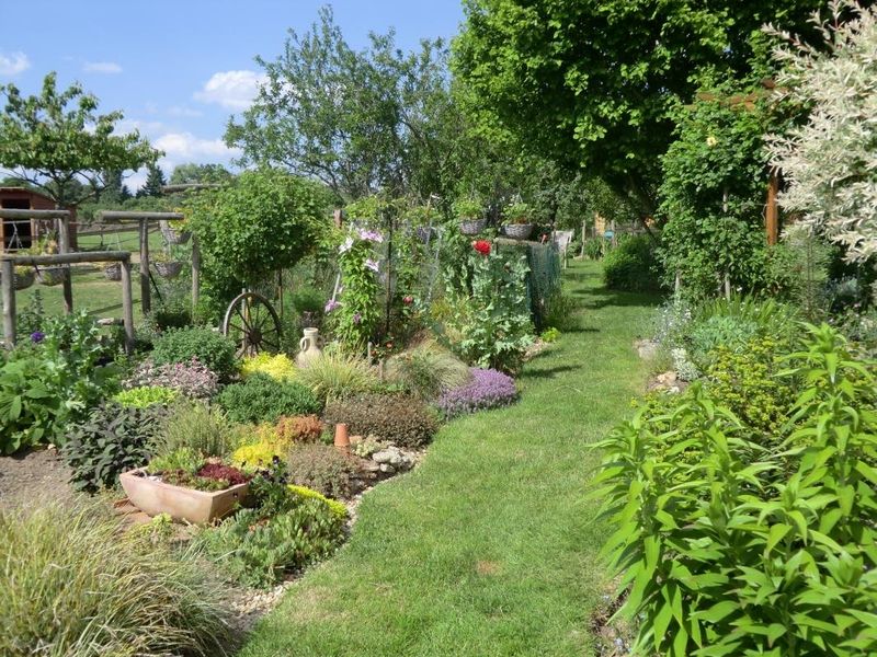 - Crédit photo : - Crédit photo :