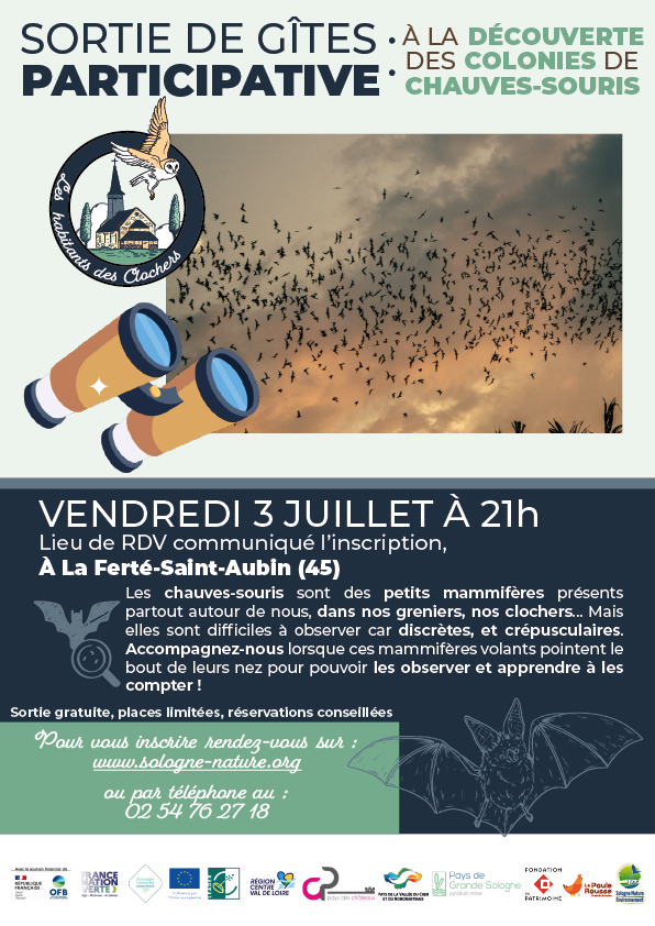 Sortie nature • à la découverte des colonies chauves-souris