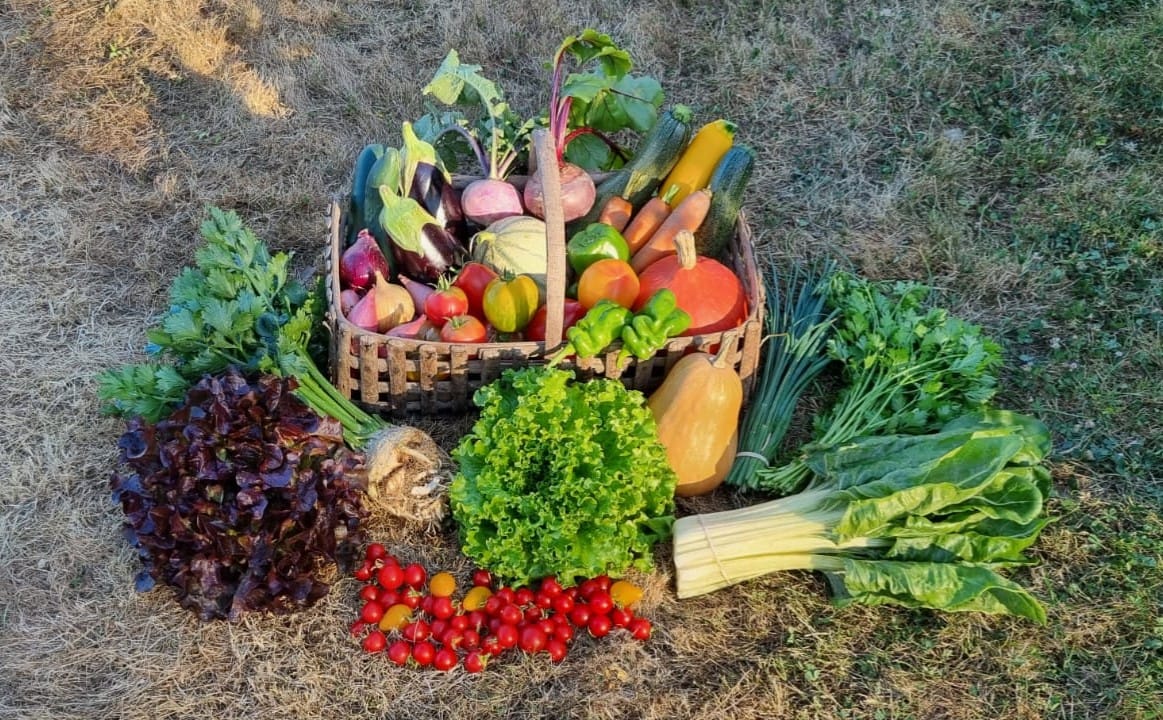potager - Crédit photo : potager cormier