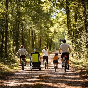BSN AVENTURE - Location de VTT / VTC - Etang de la Vallée