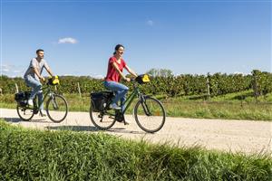 ASC 4 - Association Somone Keur Bassin Les Vélos Verts - Orléans