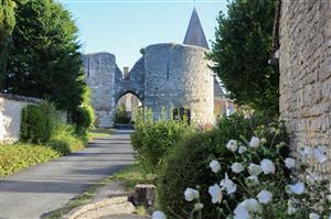 A la rescousse des fabuleux jardins d’Yèvre-Le-Châtel - Parcours à pied