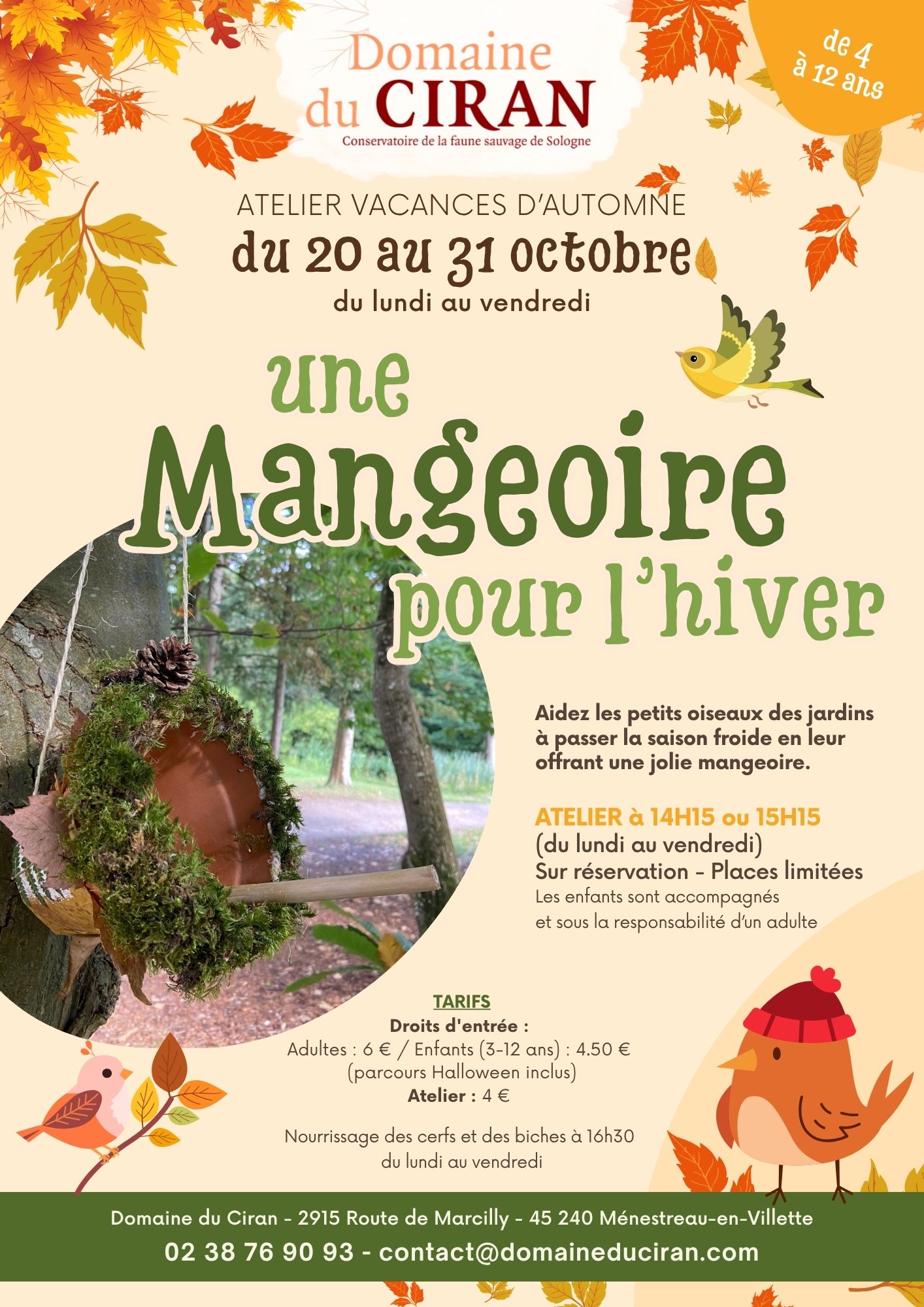 Une mangeoire pour l'hiver