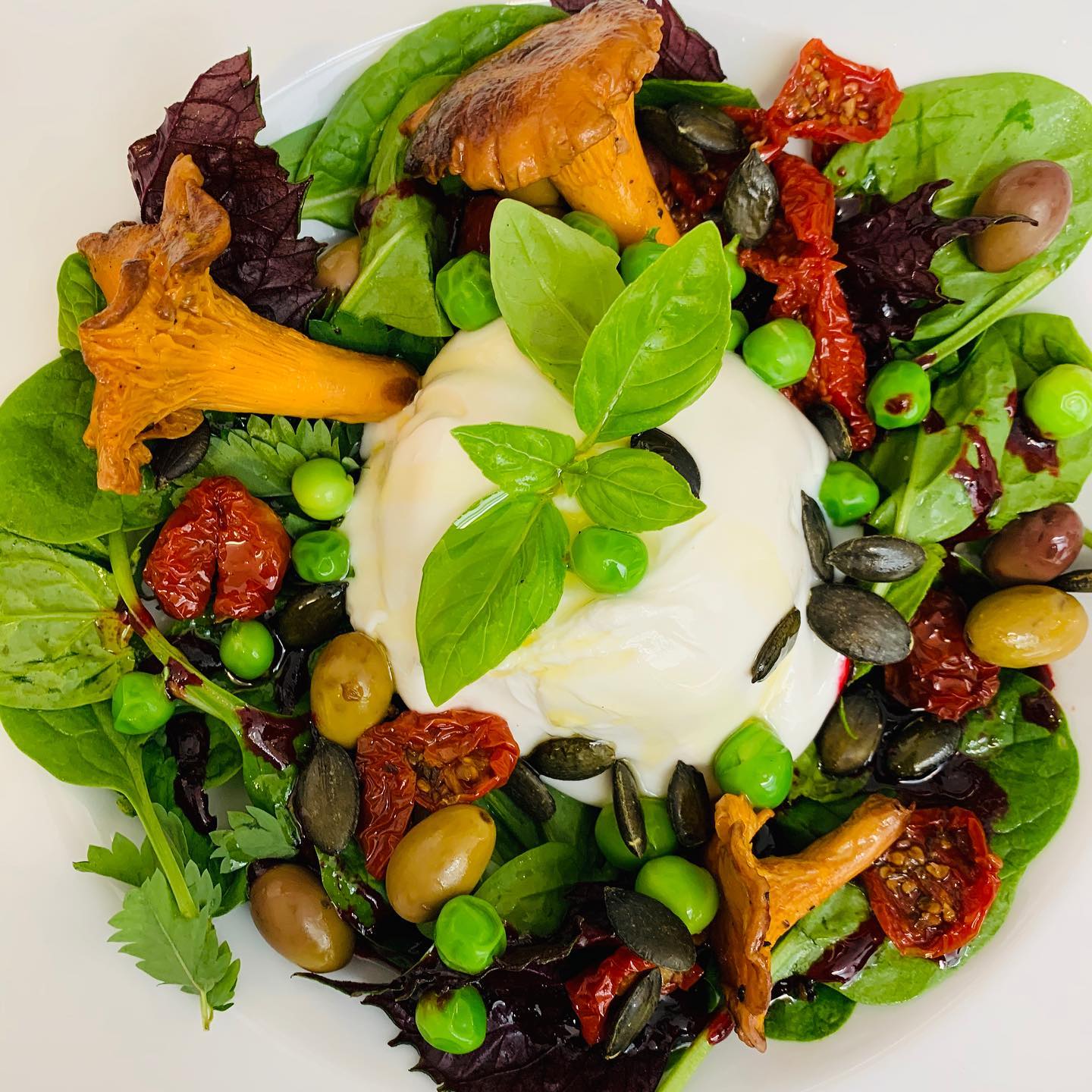 - Crédit photo : 2bécasses - Crédit photo : 2bécasses