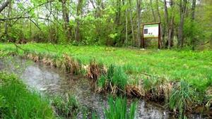 Pêche sur le parcours de l'ancien canal de Bricquemault