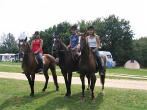 Camping Bois Girault