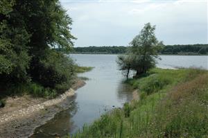Pêche à l'étang de la Tuilerie