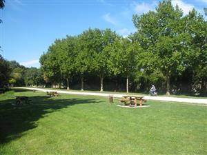 Aire de pique-nique à l'Herbe Verte de Châteauneuf-sur-Loire