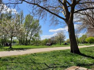 Aire de pique-nique à l'Herbe Verte de Châteauneuf-sur-Loire