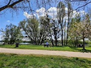 Aire de pique-nique à l'Herbe Verte de Châteauneuf-sur-Loire
