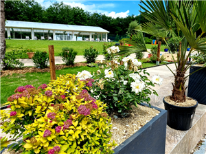 Parc de Nibelle