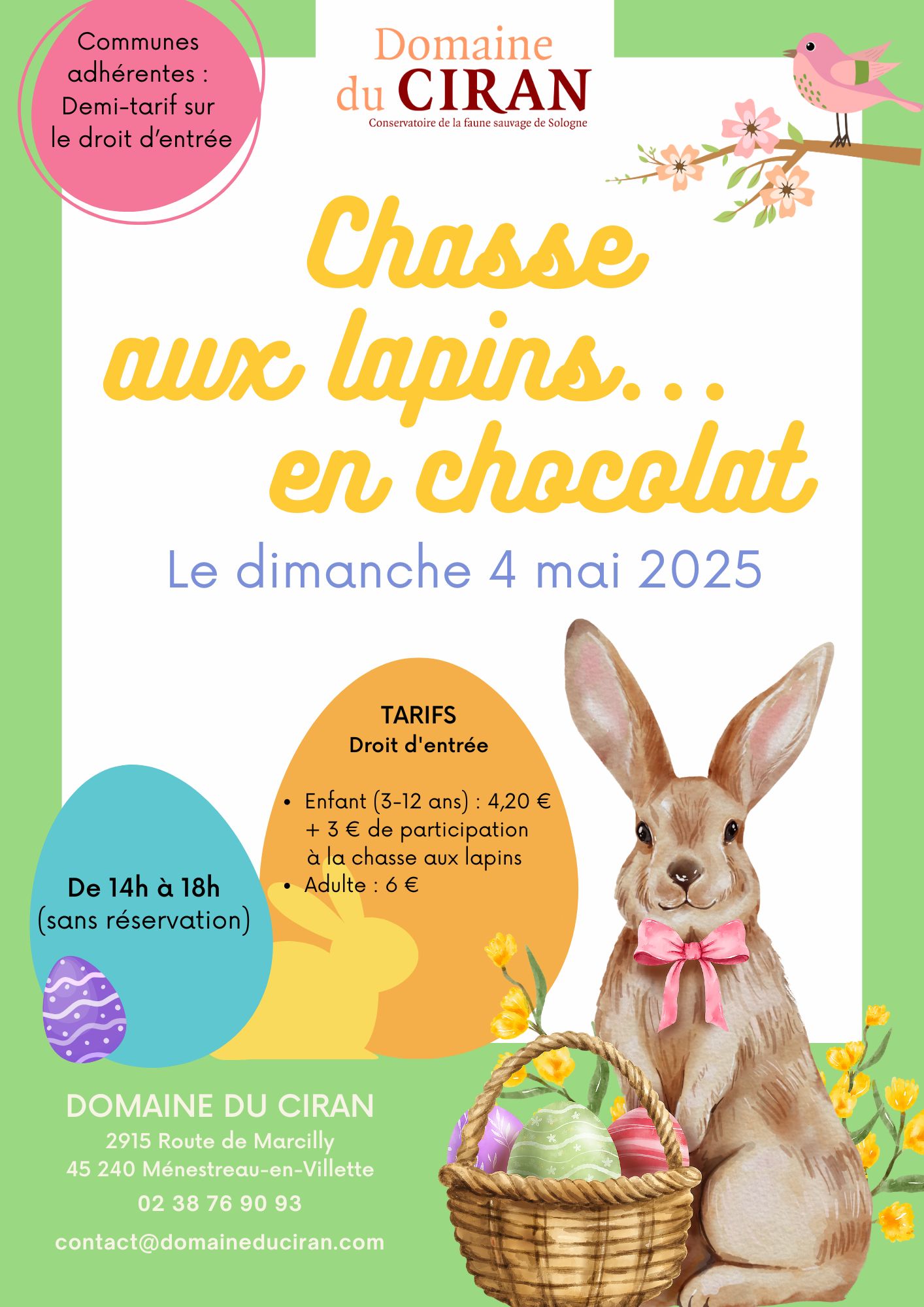 Chasse aux lapins ... en chocolat