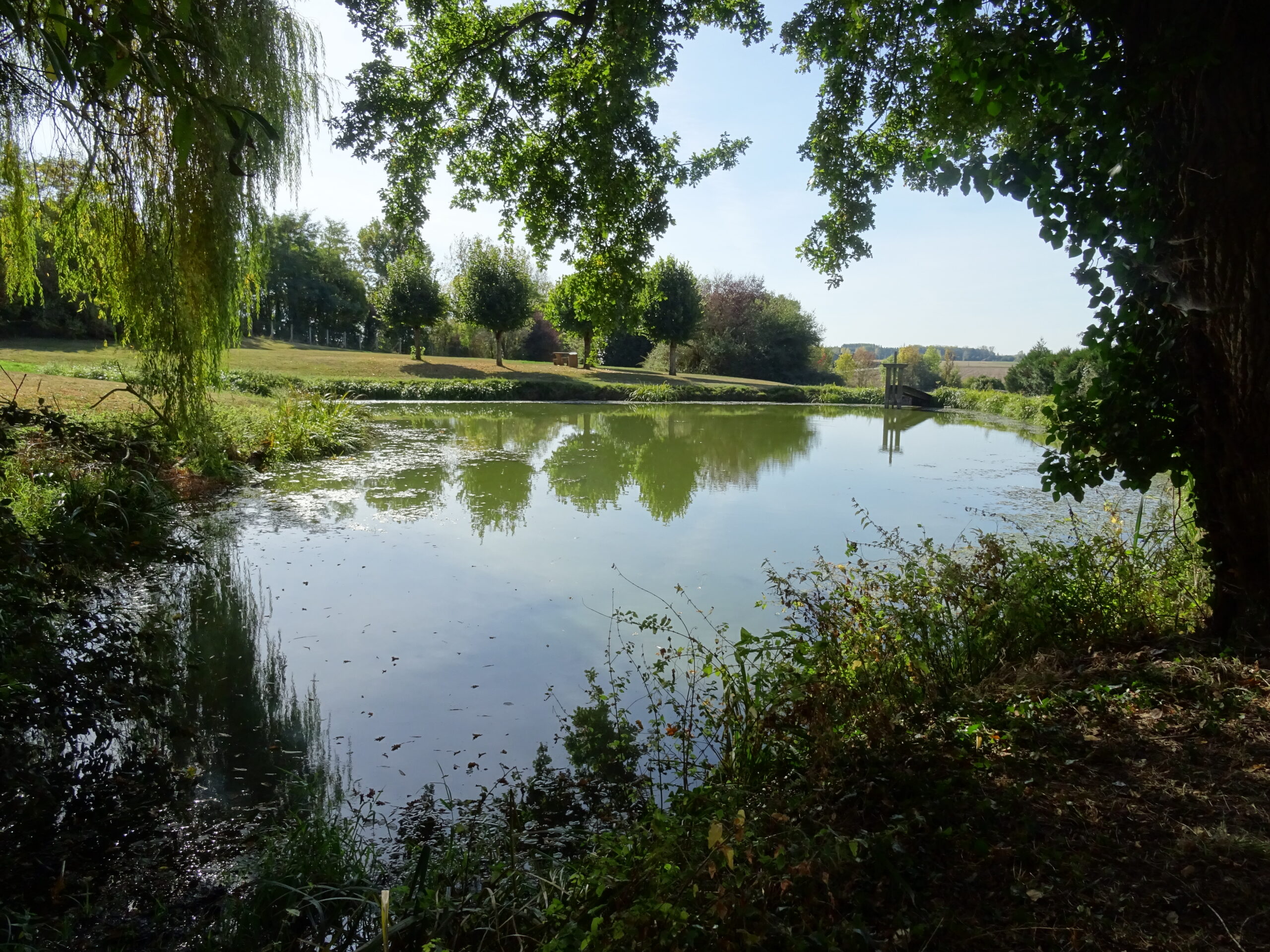 Etang des Monteaux - Crédit photo : Mairie de Bray