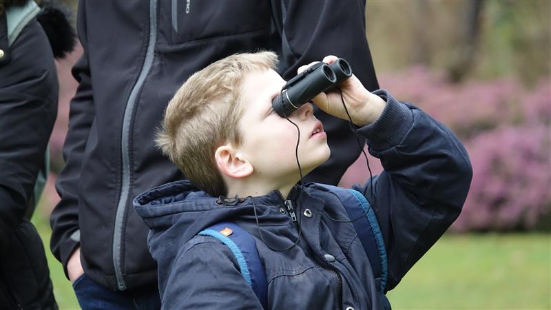 Observation ornithologique