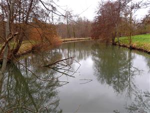Pêche sur le parcours de l'ancien canal de Bricquemault