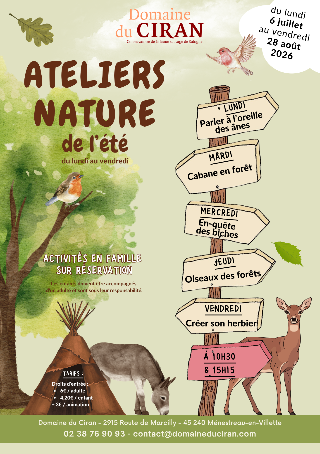 Ateliers d'été
