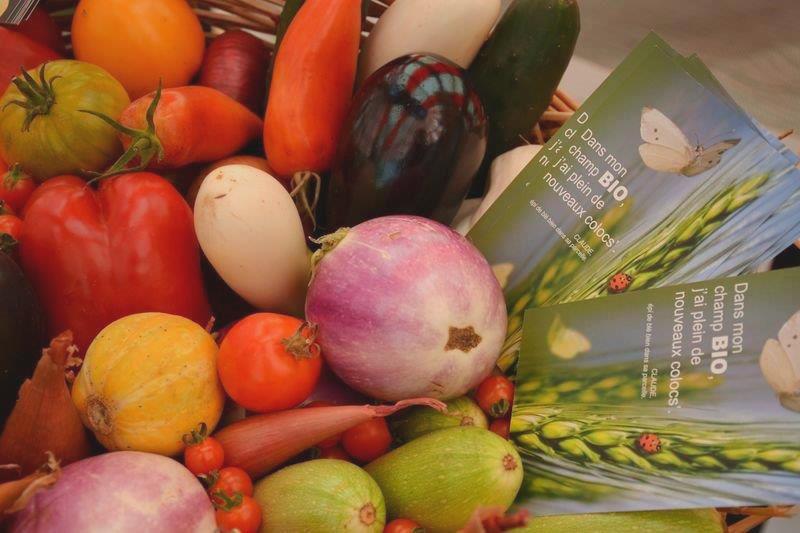 Aux légumes Célestes