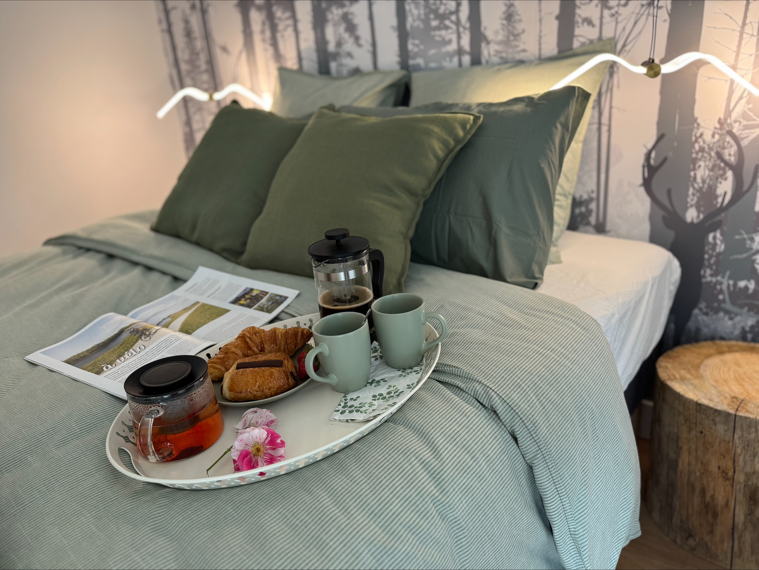 - Crédit photo : JT - Crédit photo : JT