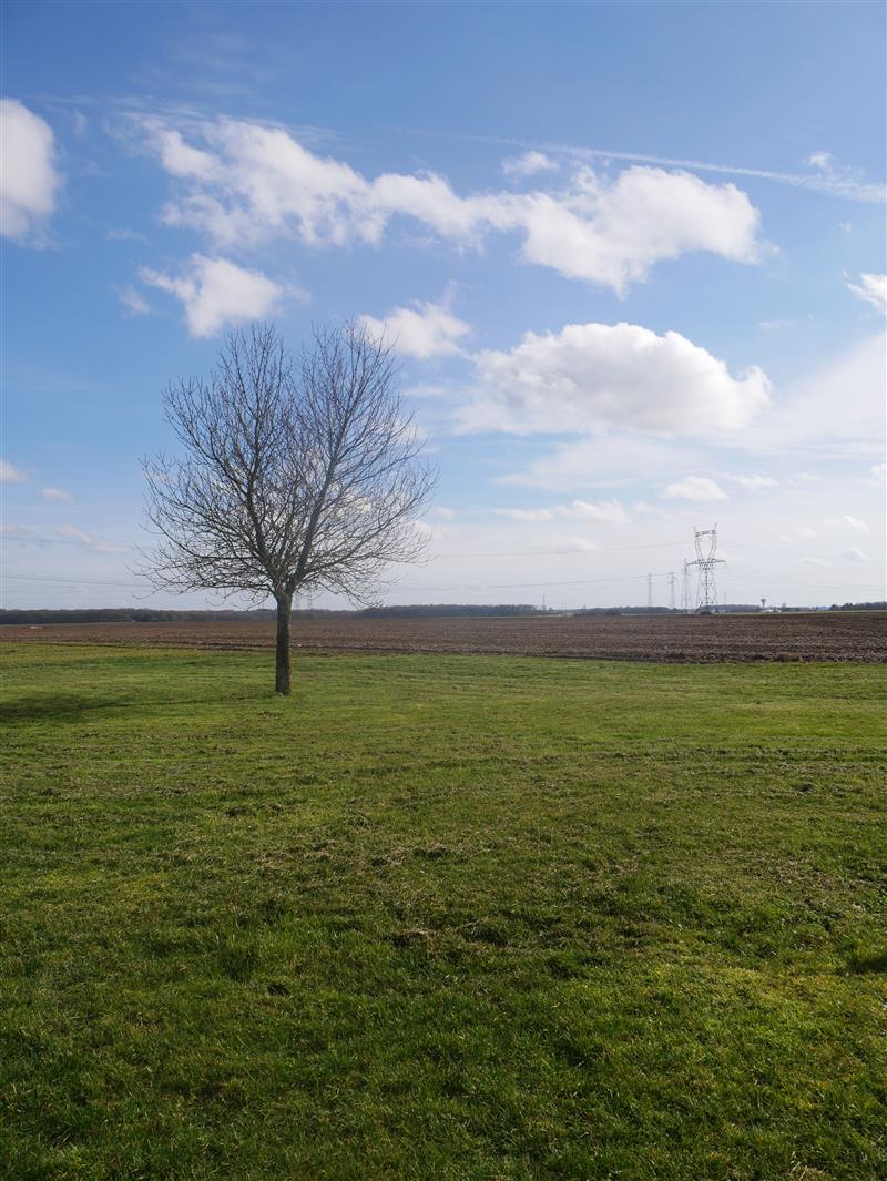 HLOCEN045V508NGJ_5