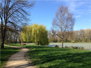 Aire de pique-nique à Lailly-en-Val