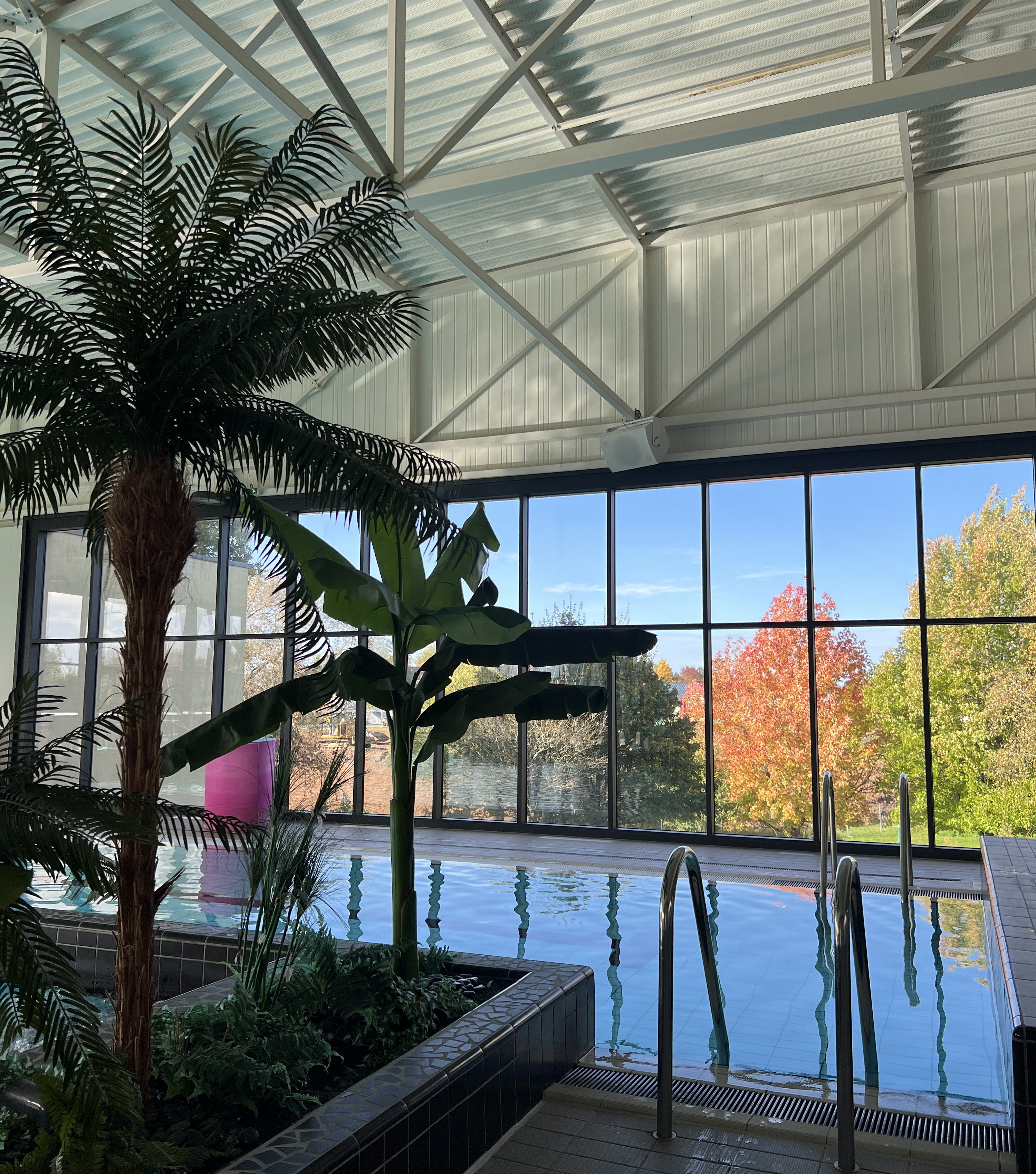 - Crédit photo : LS - Crédit photo : LS