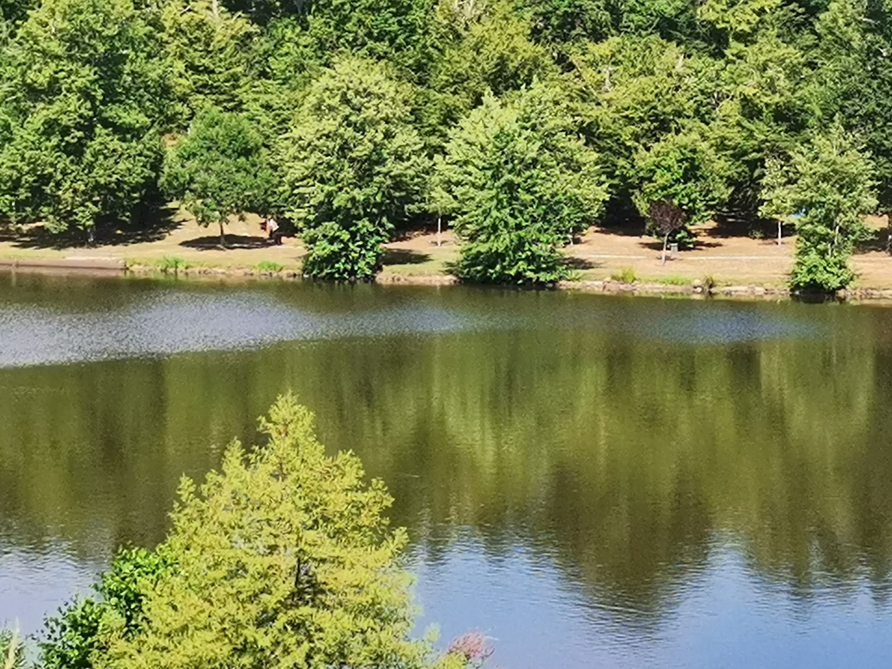 - Crédit photo : OT VDS - Crédit photo : OT VDS