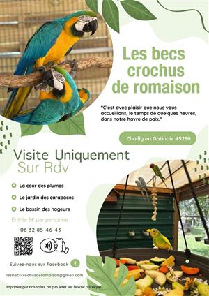 Les Becs crochus de romaison