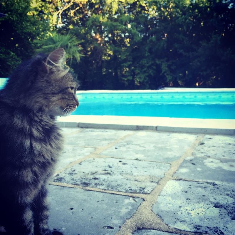 la piscine