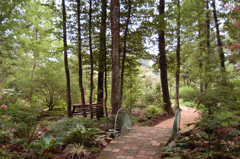 Jardin des Dentelles