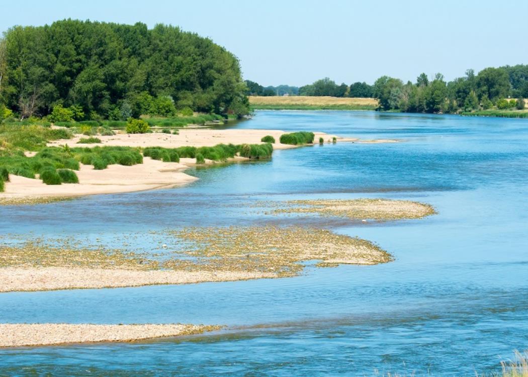 La Loire sauvage VIT