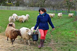 Visite à la ferme des petits bergers