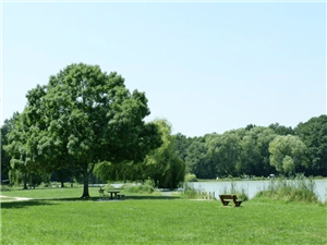 Aire de pique-nique à Lailly-en-Val