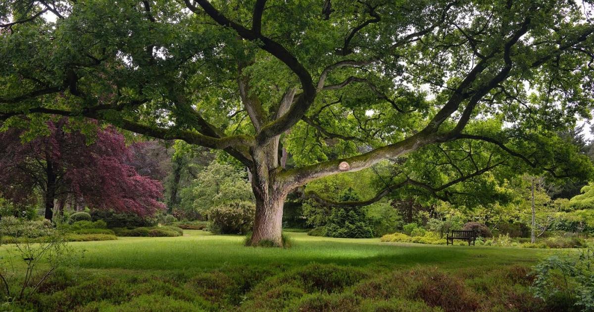 Journées européennes du patrimoine à l'Arboretum