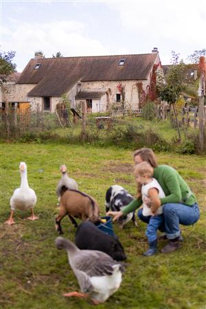 Les activités des Clés de la Ferme - Ferme pédagogique