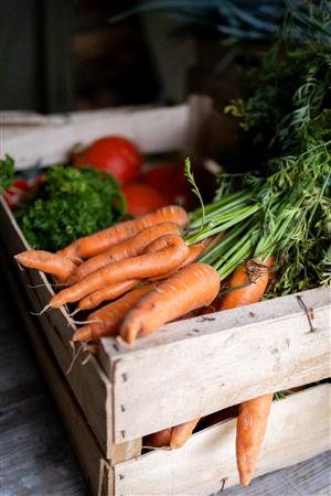 Les activités des Clés de la Ferme - Ferme pédagogique