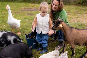 Les activités des Clés de la Ferme - Ferme pédagogique