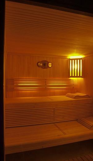 Lounge and Spa