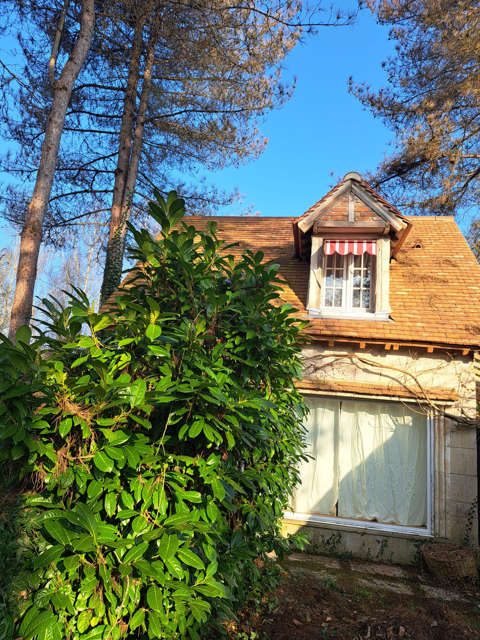 Maisonnette extérieur baie vitrée - Crédit photo : Natacha Crnjanski