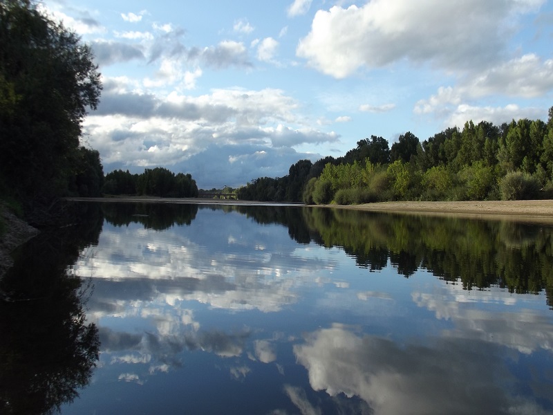 Nature - Loire - 9 août 2017 - OT Terres de Loire et Canaux - I.Rémy (2)